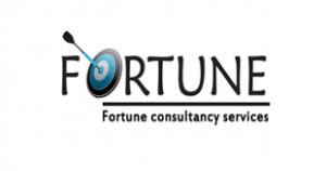 Fortune Visa Services